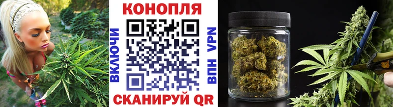 наркота  Димитровград  Канабис White Widow 